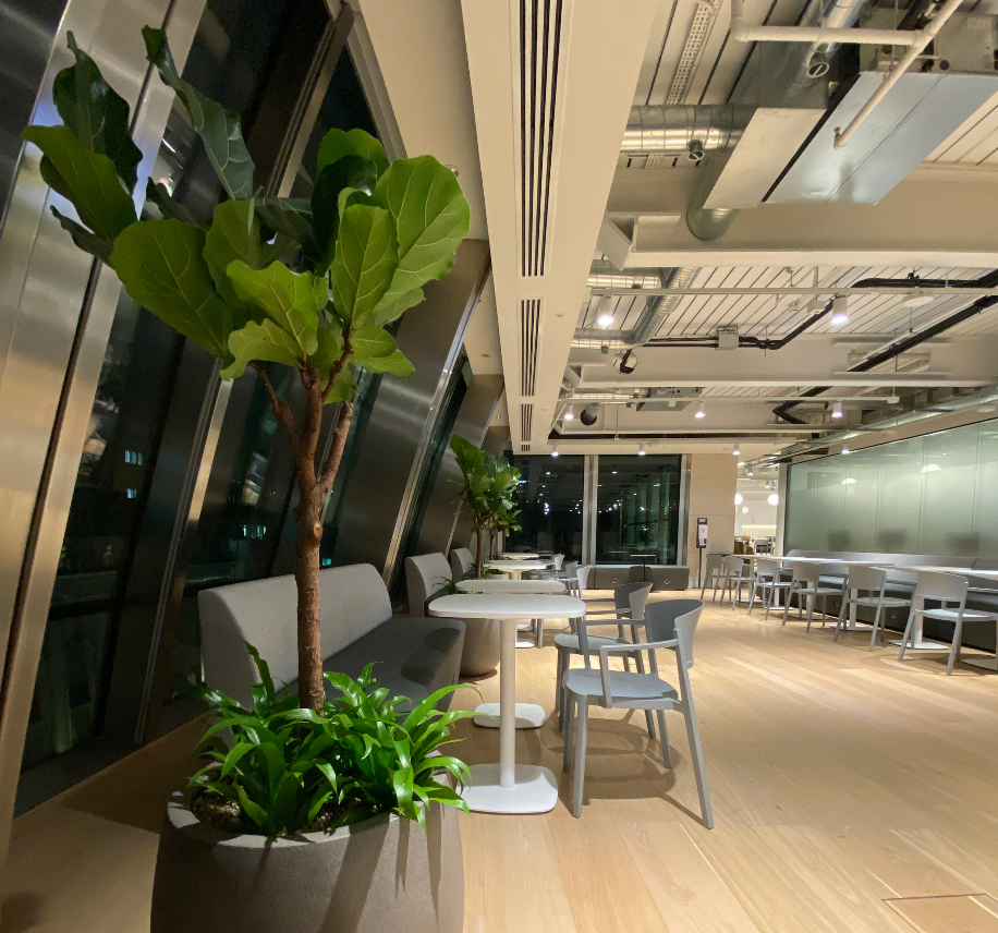 Office rest area with tables, booth seating, chairs and plants